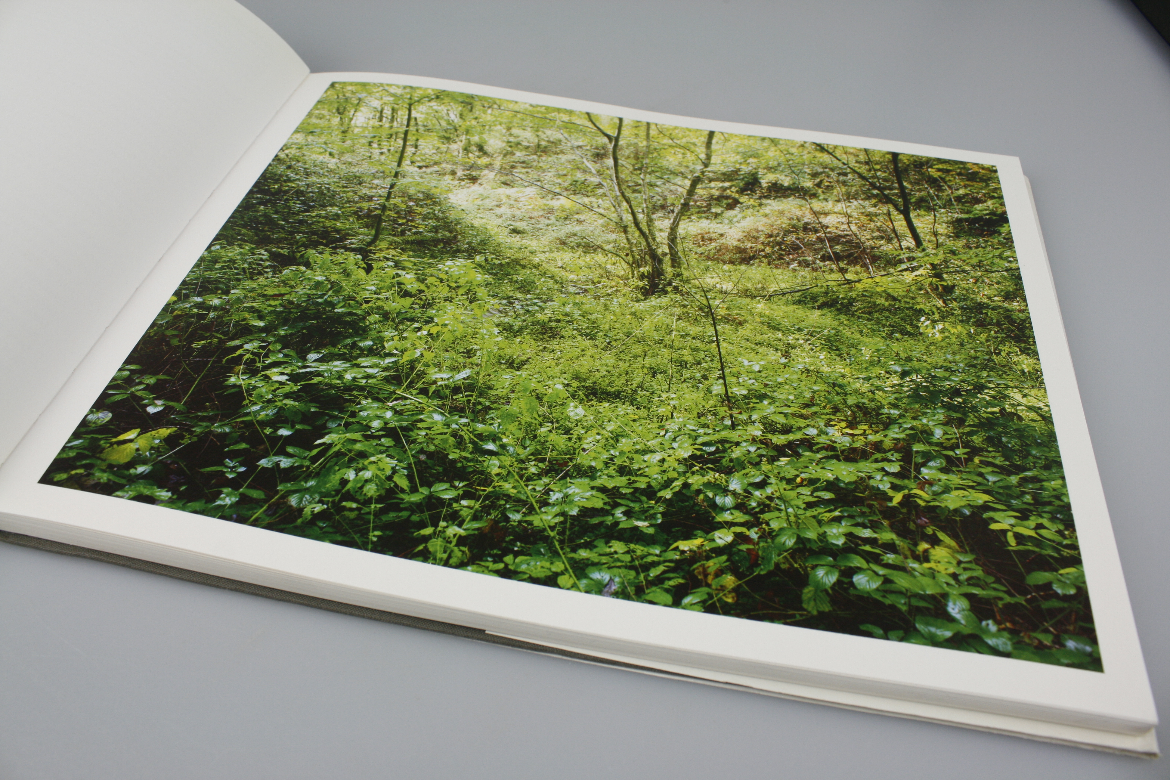 Pete Davis - In Wildwood (Signed book) 2008 Pub. Lars Müller - Image 4