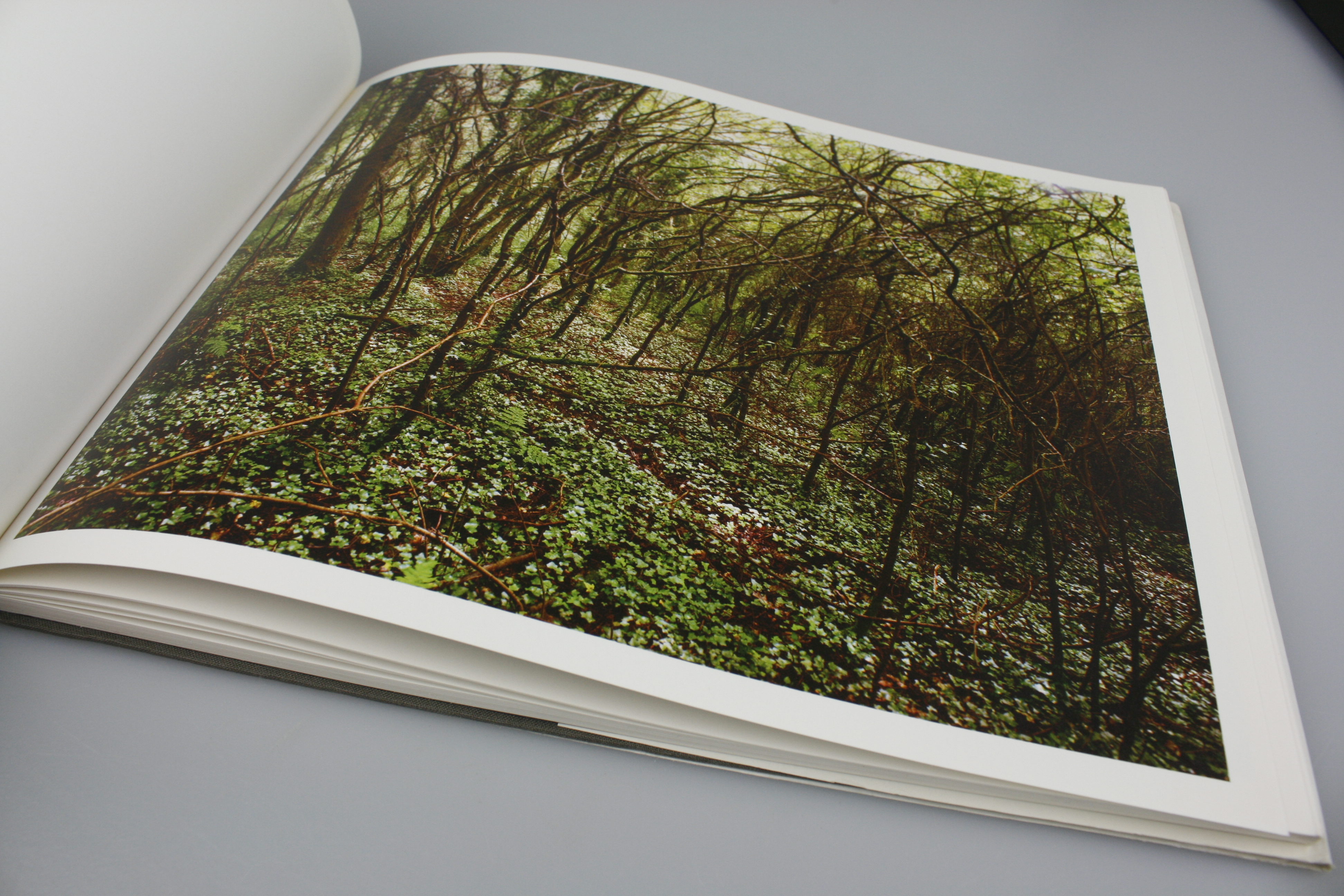 Pete Davis - In Wildwood (Signed book) 2008 Pub. Lars Müller - Image 12