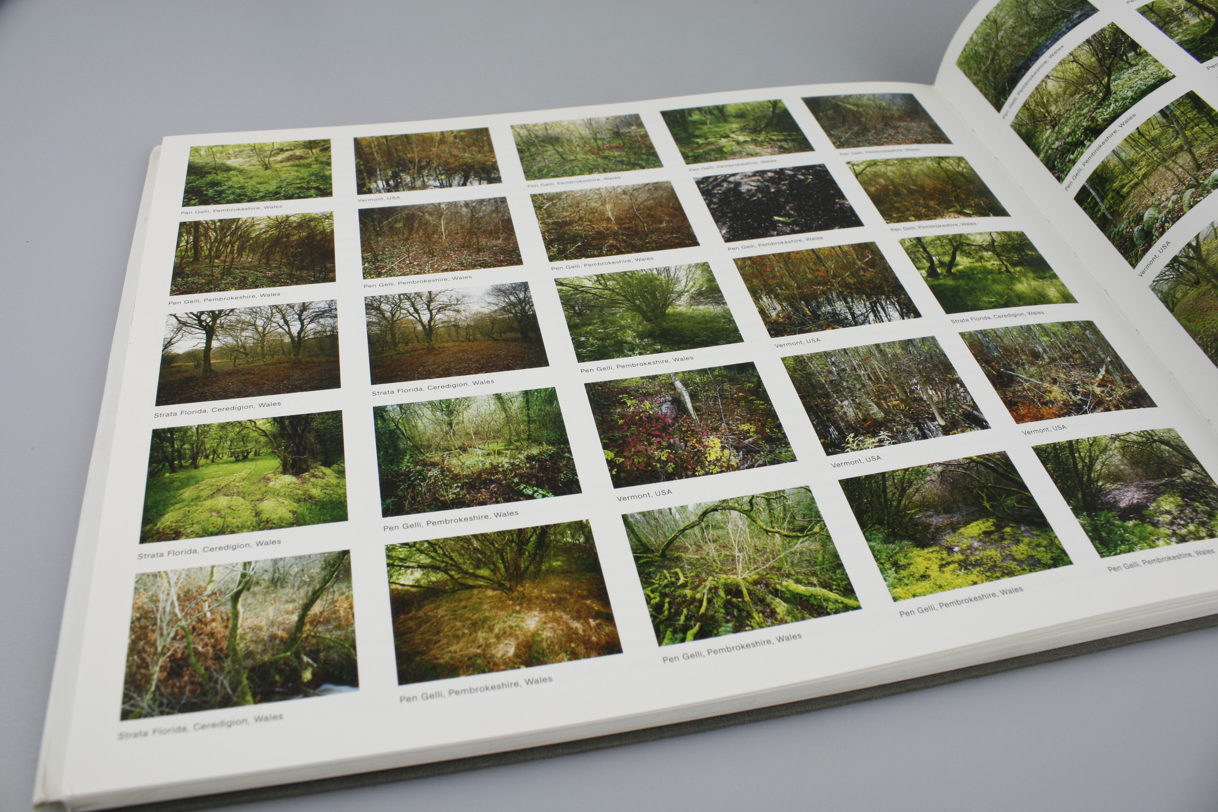 Pete Davis - In Wildwood (Signed book) 2008 Pub. Lars Müller - Image 8