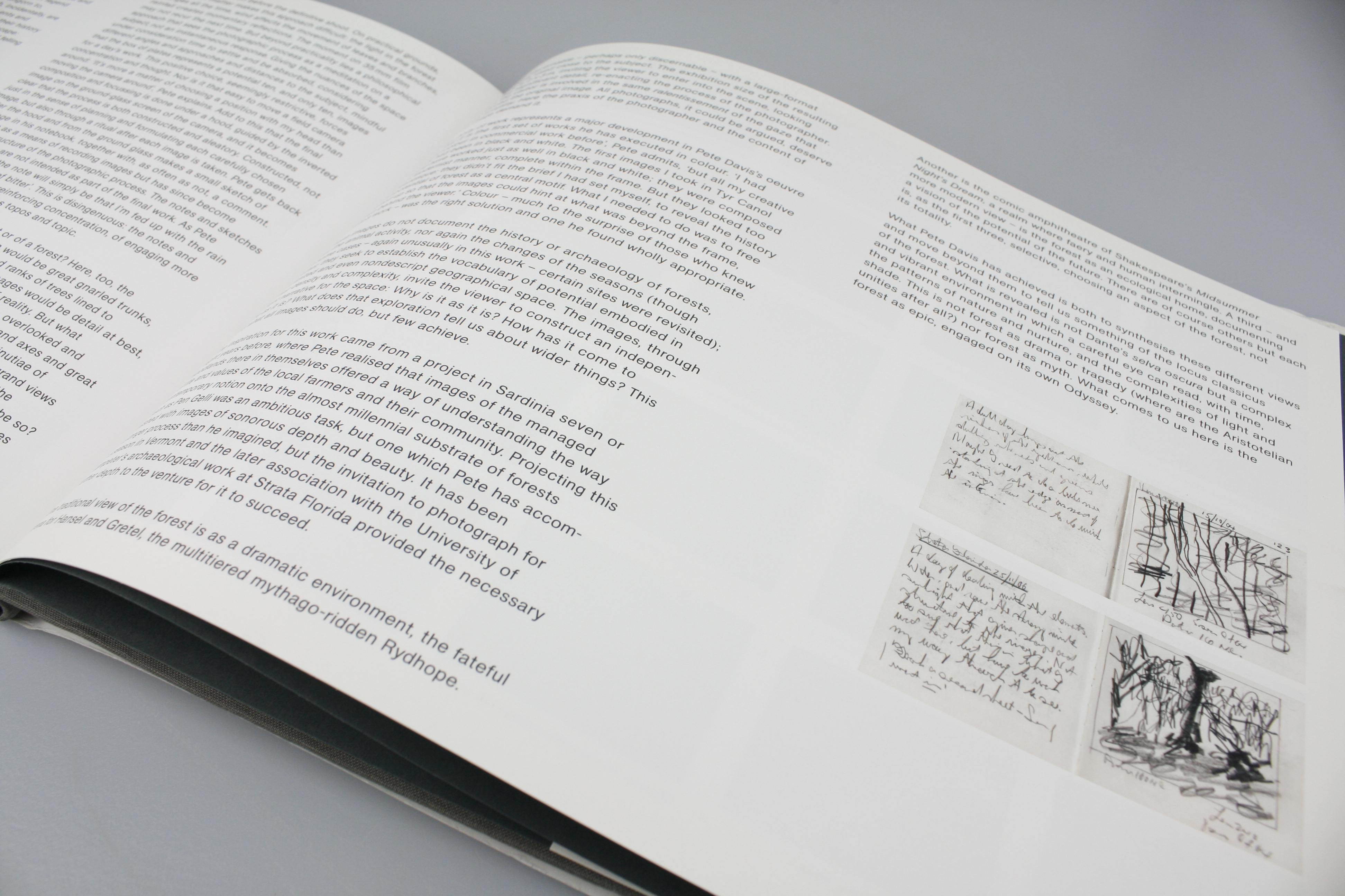 Pete Davis - In Wildwood (Signed book) 2008 Pub. Lars Müller - Image 10