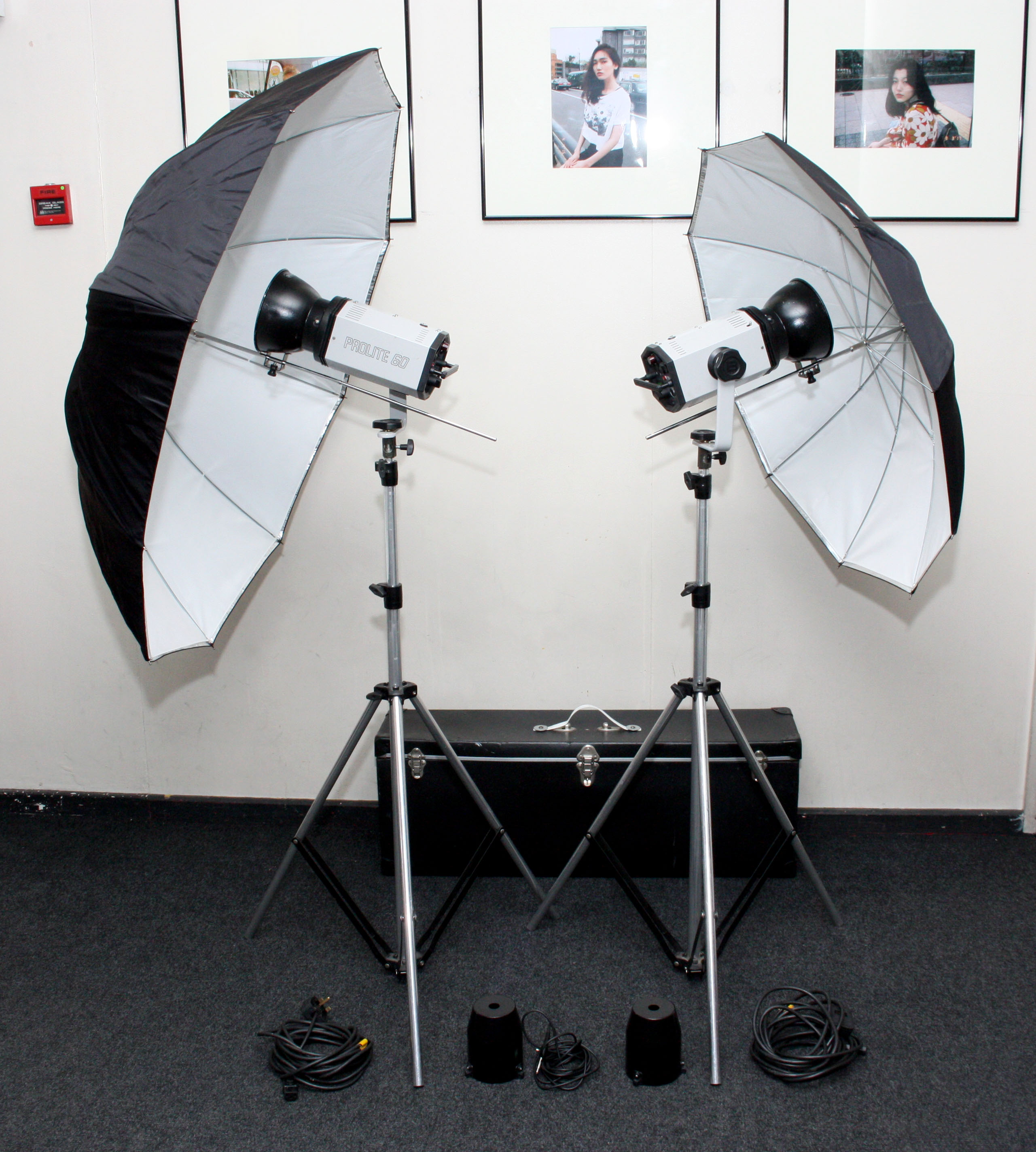 Bowens Prolite 60 2-Head Brolly Flash Kit in Case