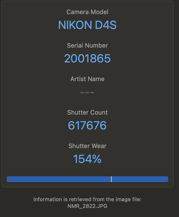 Nikon D4s Pro FX Full Frame DSLR Camera Body Only- CF & XQD - Image 7