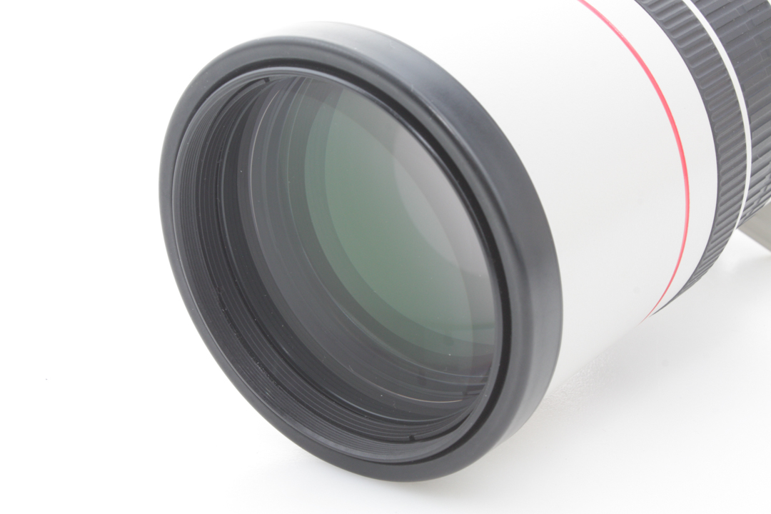 Canon 300mm f/4 L Zoom Lens - Canon EF Mount for Canon DSLR w/ Soft Shell Case - Image 2