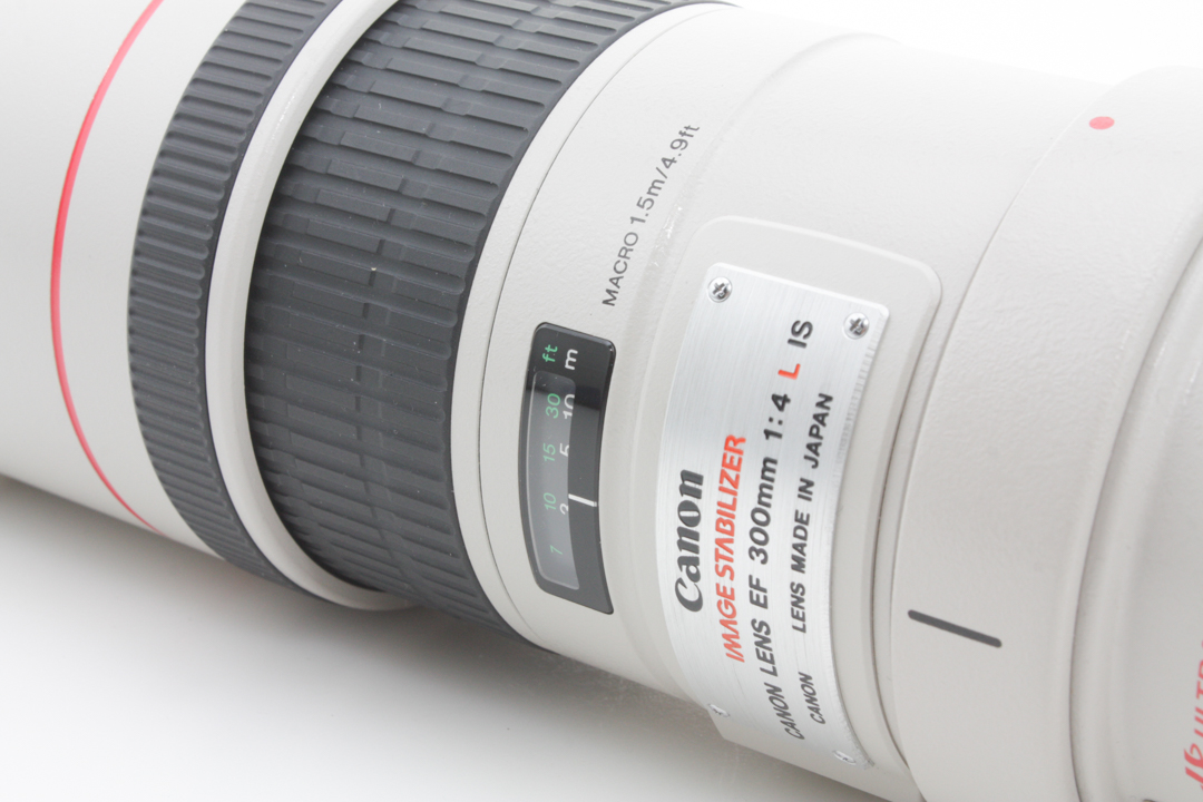 Canon 300mm f/4 L Zoom Lens - Canon EF Mount for Canon DSLR w/ Soft Shell Case - Image 3