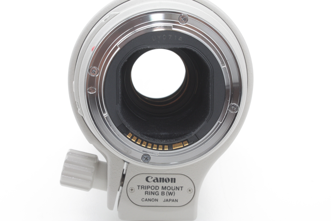 Canon 300mm f/4 L Zoom Lens - Canon EF Mount for Canon DSLR w/ Soft Shell Case - Image 4