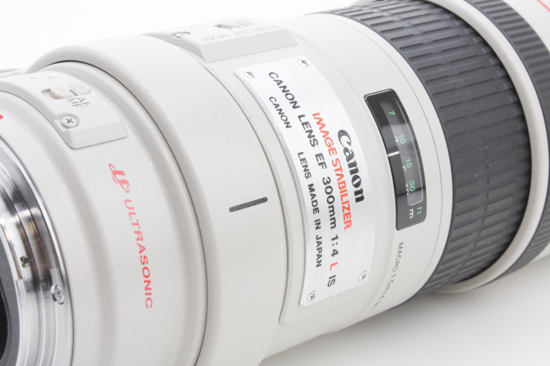 Canon 300mm f/4 L Zoom Lens - Canon EF Mount for Canon DSLR w/ Soft Shell Case - Image 5