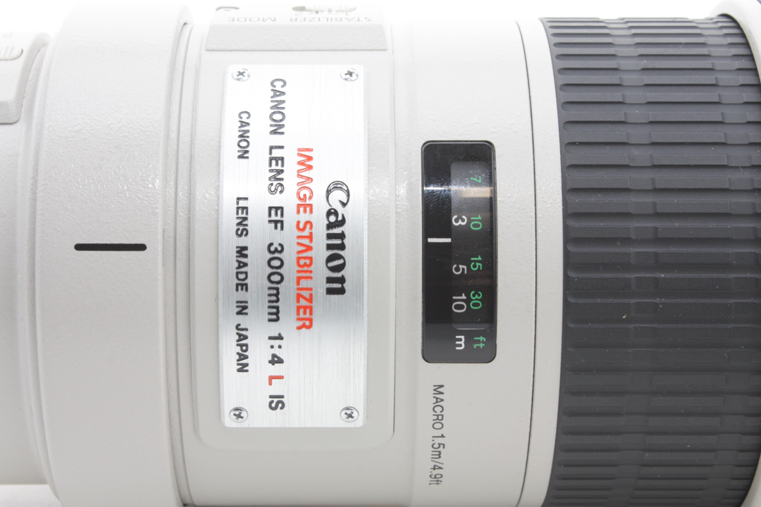 Canon 300mm f/4 L Zoom Lens - Canon EF Mount for Canon DSLR w/ Soft Shell Case - Image 6