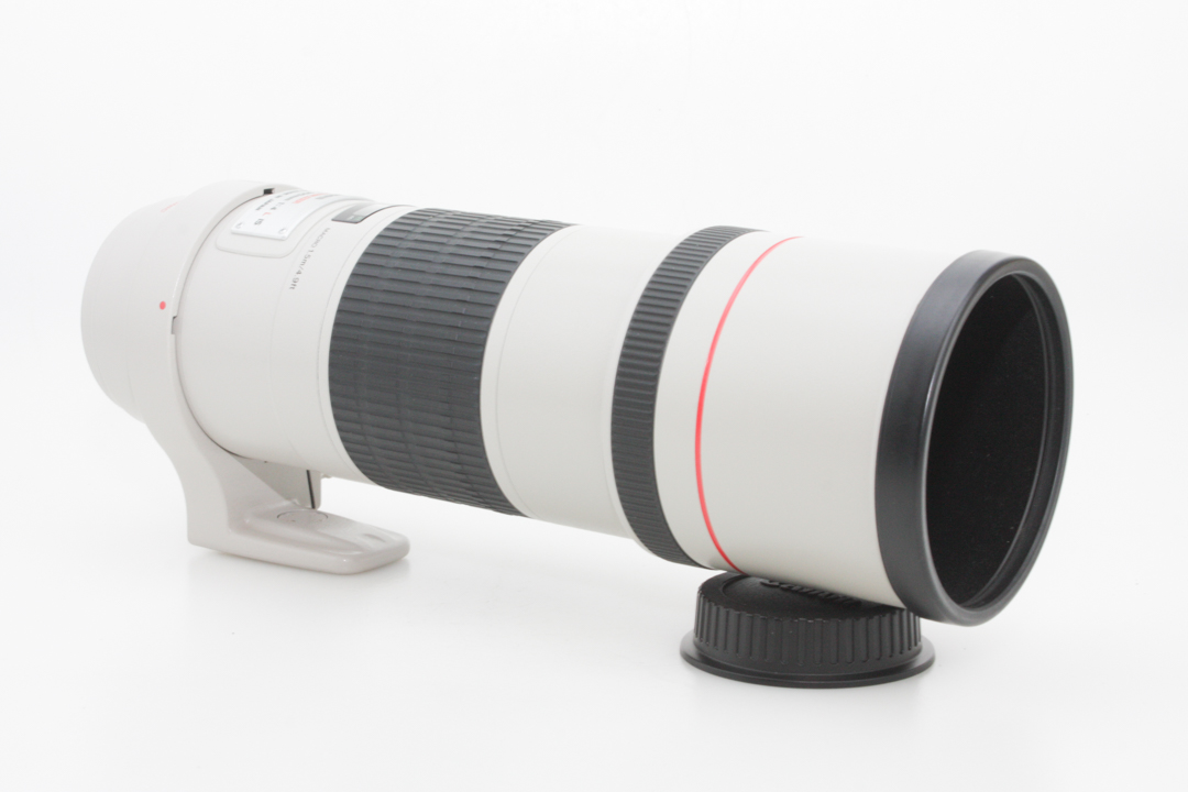 Canon 300mm f/4 L Zoom Lens - Canon EF Mount for Canon DSLR w/ Soft Shell Case - Image 8