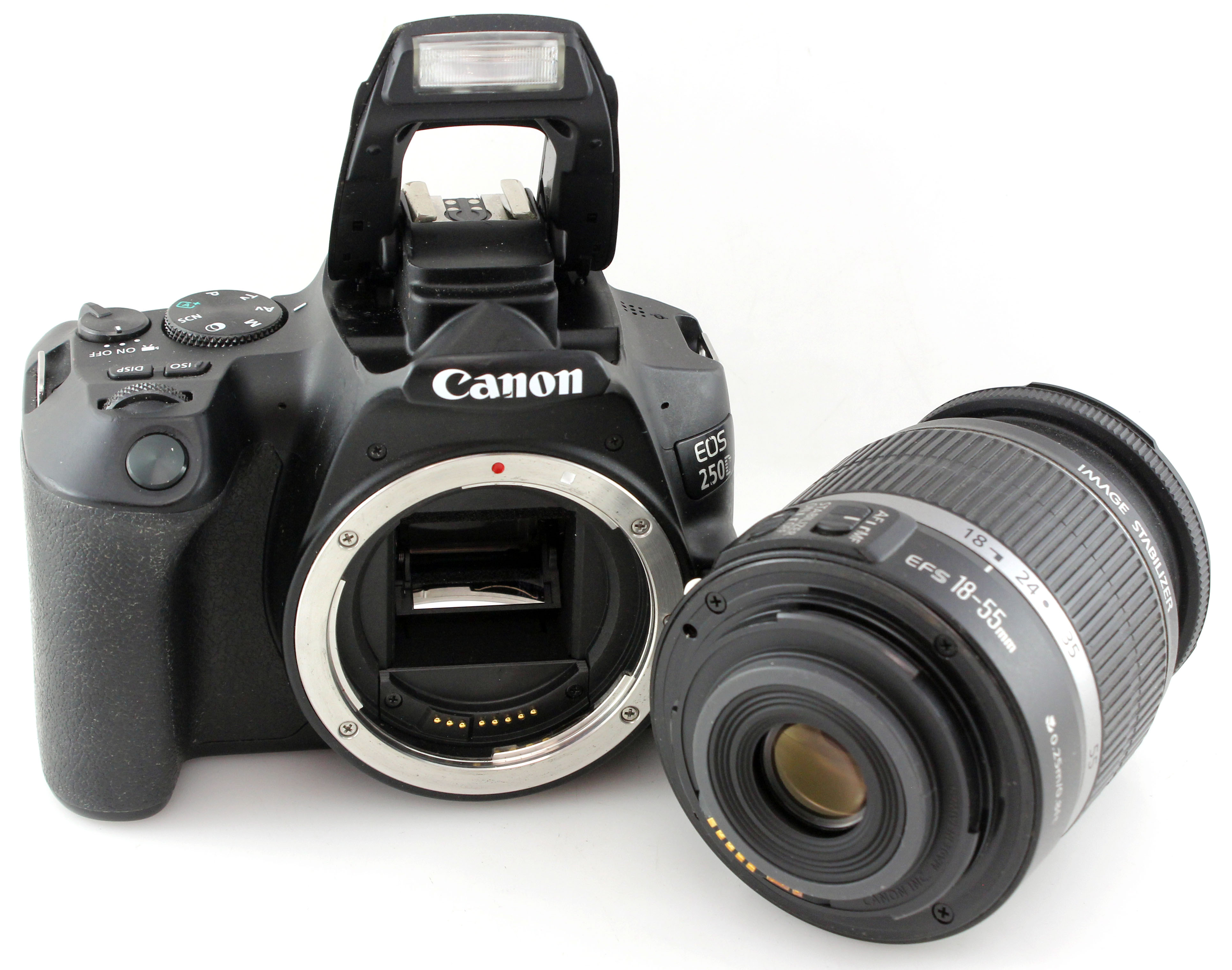 Canon EOS 250D 24.1MP DSLR Camera w/ EF-S 18-55mm f/4-5.6 IS Zoom Lens - Image 3